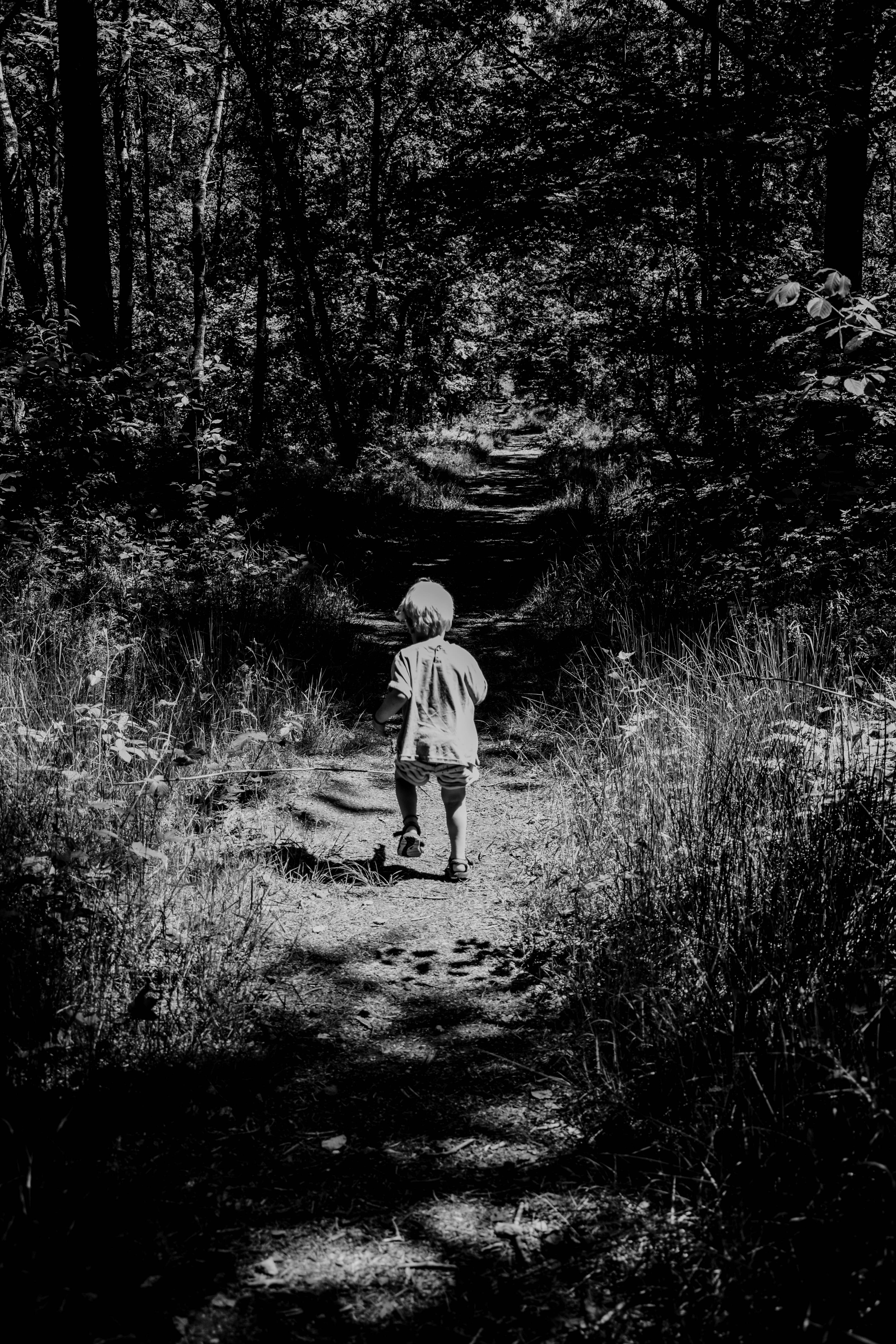 grayscale photo of child walking on forest